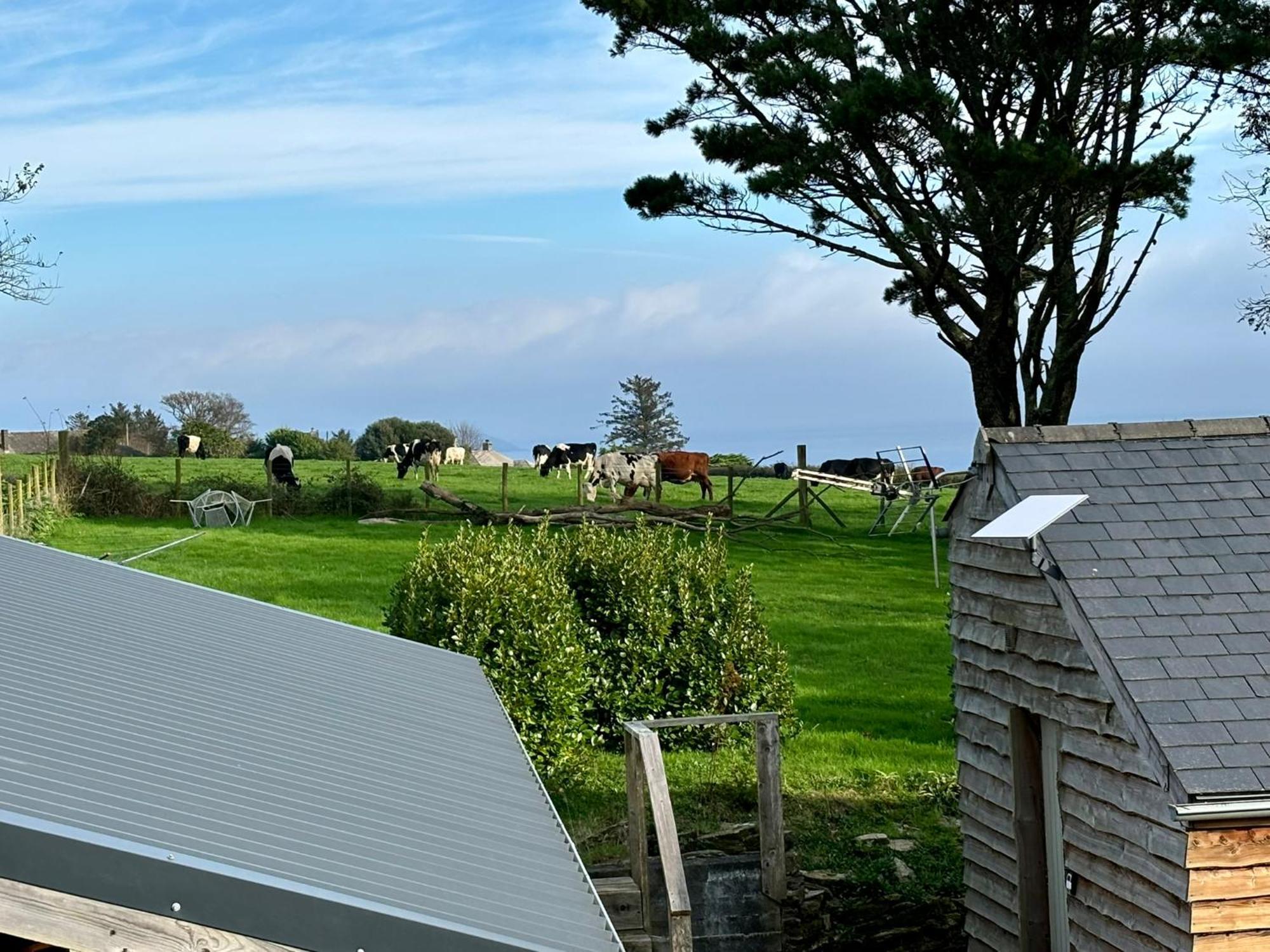 Little Bream - Pretty Cosy Cottage, Sea Views, Walk To The Beach Mawnan Smith Dış mekan fotoğraf