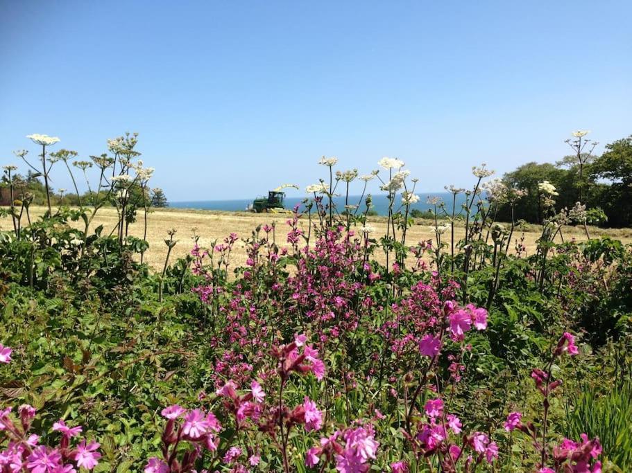 Little Bream - Pretty Cosy Cottage, Sea Views, Walk To The Beach Mawnan Smith Dış mekan fotoğraf